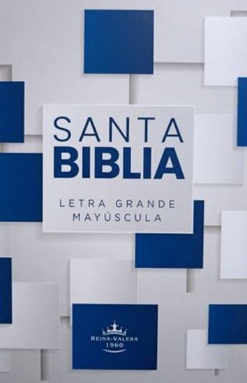 Imagen de SANTA BIBLIA RV 1960 TD AZUL LG