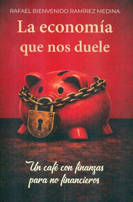 Imagen de LA ECONOMIA QUE NOS DUELE