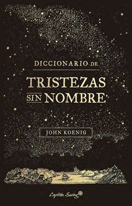 Imagen de DICCIONARIO DE TRISTEZAS SIN NOMBRE