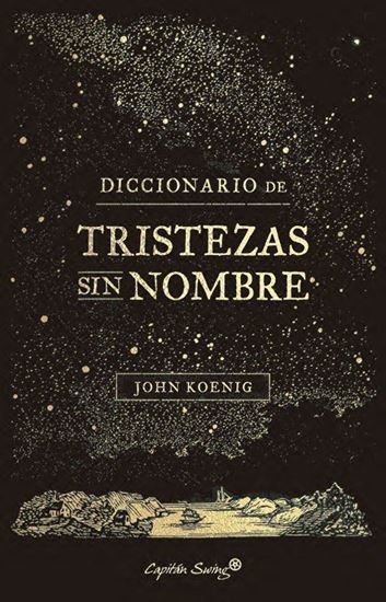 Imagen de DICCIONARIO DE TRISTEZAS SIN NOMBRE