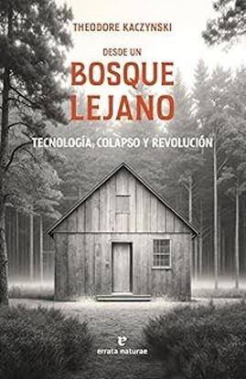 Imagen de DESDE UN BOSQUE LEJANO