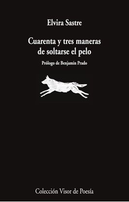 Imagen de CUARENTA Y TRES MANERAS DE SOLTARSE EL