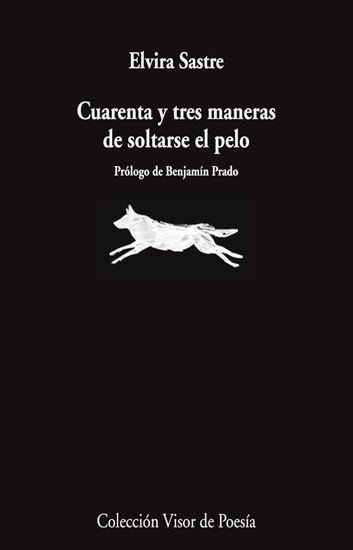 Imagen de CUARENTA Y TRES MANERAS DE SOLTARSE EL