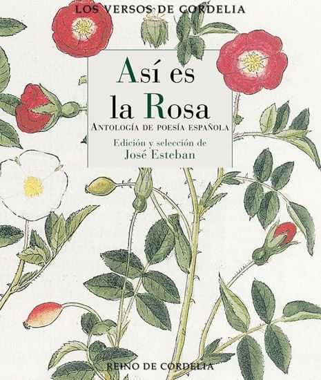 Imagen de ASI ES LA ROSA. ANTOLOGIA DE POESIA ESP.