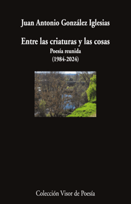 Imagen de ENTRE LAS CRIATURAS Y LAS COSAS