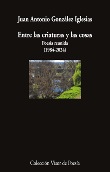 Imagen de ENTRE LAS CRIATURAS Y LAS COSAS