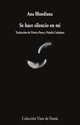 Imagen de SE HACE SILENCIO EN MI