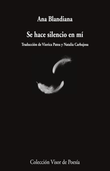 Imagen de SE HACE SILENCIO EN MI