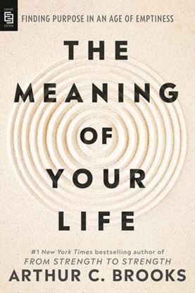 Imagen de THE MEANING OF YOUR LIFE