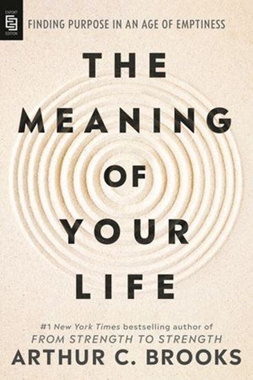 Imagen de THE MEANING OF YOUR LIFE
