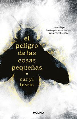 Imagen de EL PELIGRO DE LAS COSAS PEQUEÑAS