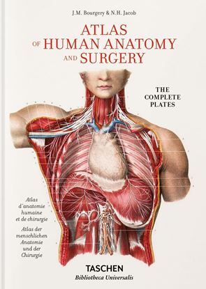 Imagen de ATLAS ANATOMY AND SURGERY