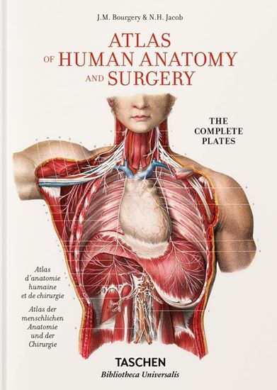 Imagen de ATLAS ANATOMY AND SURGERY