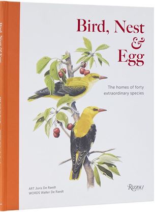 Imagen de BIRD, NEST Y EGG. THE HOMES OF FORTY EXT