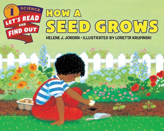 Imagen de HOW A SEED GROWS