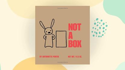 Imagen de NOT A BOX