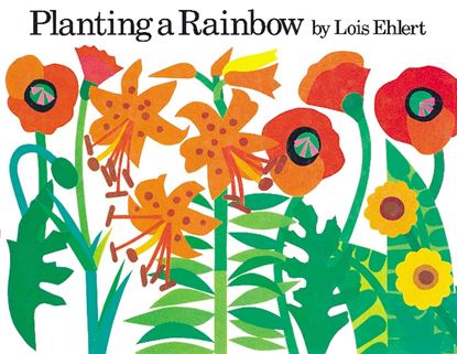 Imagen de PLNATING A RAINBOW