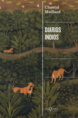 Imagen de DIARIOS INDIOS