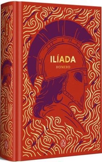 Imagen de ILIADA (ED.ESPECIAL) (TD)
