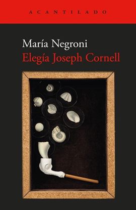 Imagen de ELEGIA JOSEPH CORNELL