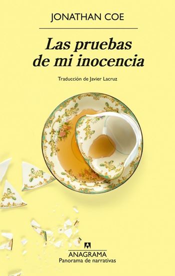 Imagen de LAS PRUEBAS DE MI INOCENCIA