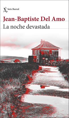 Imagen de LA NOCHE DEVASTADA