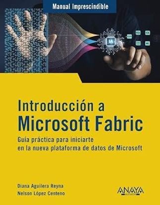 Imagen de INTRODUCCION A MICROSOFT FABRIC