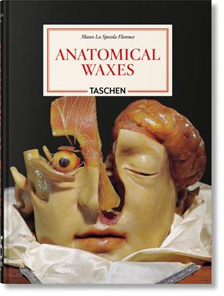 Imagen de ANATOMICAL WAXES. 45TH ED.