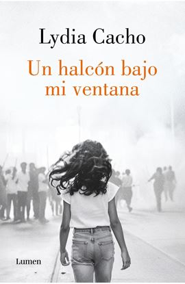 Imagen de UN HALCON BAJO MI VENTANA