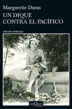 Imagen de UN DIQUE CONTRA EL PACIFICO