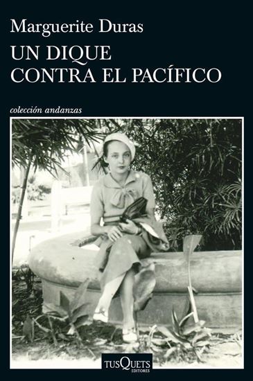 Imagen de UN DIQUE CONTRA EL PACIFICO