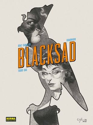 Imagen de BLACKSAD 6. TODO CAE (EDICION 25 ANV)