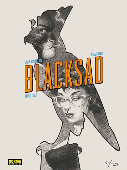 Imagen de BLACKSAD 6. TODO CAE (EDICION 25 ANV)