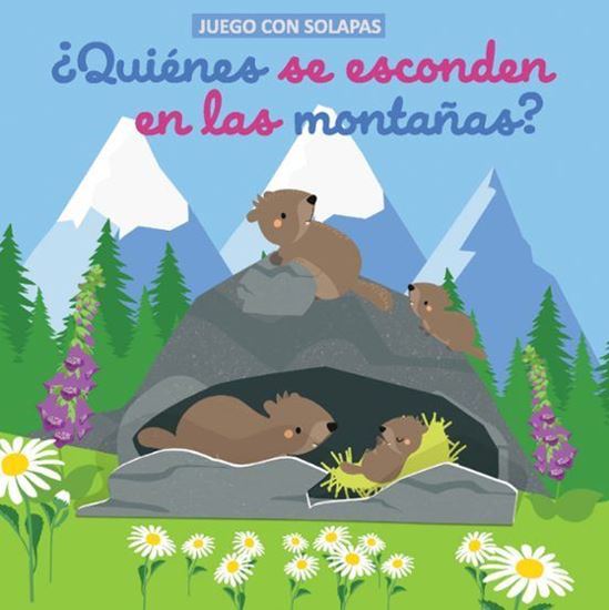 Imagen de JUEGO CON SOLAPAS- ¿QUIENES SE ESCONDEN