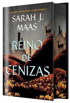 Imagen de REINO DE CENIZAS 7 (ED. ESPECIAL LI)