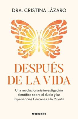 Imagen de DESPUES DE LA VIDA (BOL)