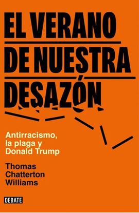 Imagen de EL VERANO DE NUESTRA DESAZON