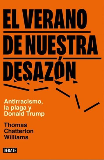 Imagen de EL VERANO DE NUESTRA DESAZON