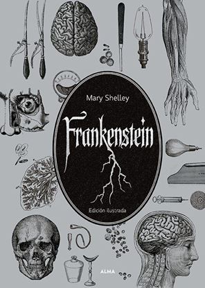 Imagen de FRANKENSTEIN (EL JARDIN SECRETO) ED. ILU