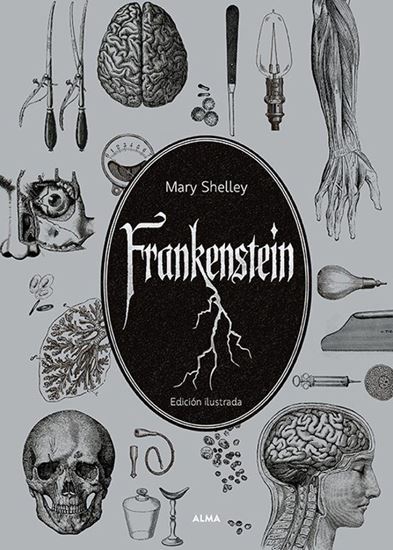 Imagen de FRANKENSTEIN (EL JARDIN SECRETO) ED. ILU