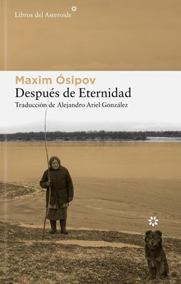 Imagen de DESPUES DE ETERNIDAD