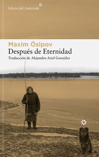Imagen de DESPUES DE ETERNIDAD