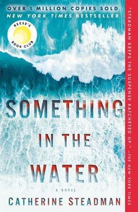 Imagen de SOMETHING IN THE WATER