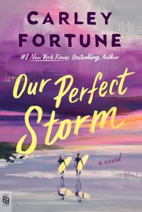 Imagen de OUR PERFECT STORM