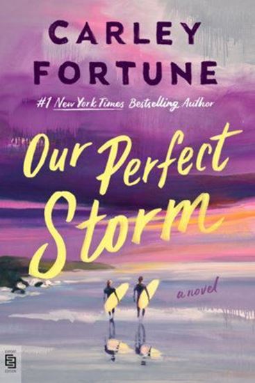 Imagen de OUR PERFECT STORM