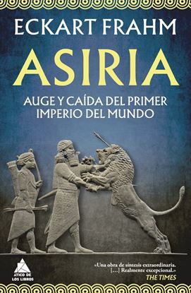 Imagen de ASIRIA
